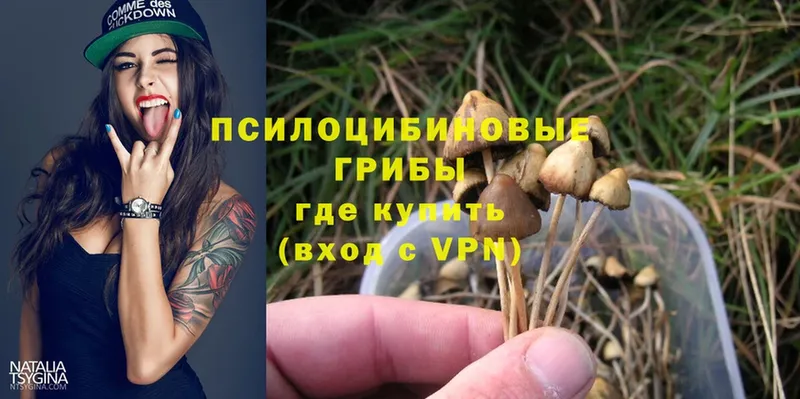 Галлюциногенные грибы Magic Shrooms  закладки  кракен ссылки  Джанкой 